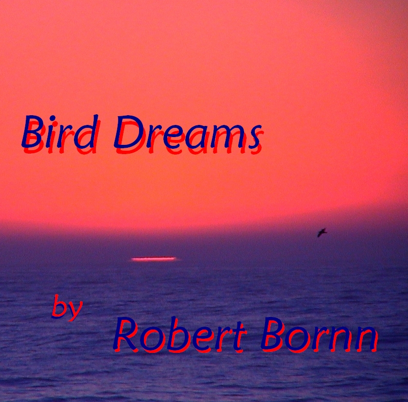 Bird Dreams
